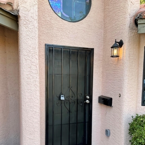 Fire Restoration - Laguna De Sol Photo