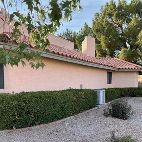 Fire Restoration - Laguna De Sol Photo