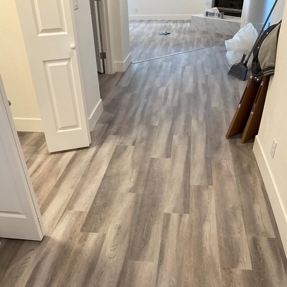 Fire Restoration - Laguna De Sol Photo