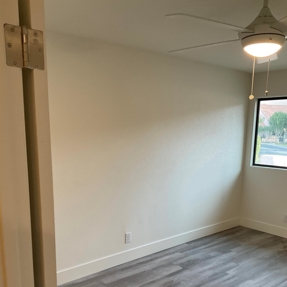 Fire Restoration - Laguna De Sol Photo