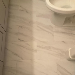 Fire Restoration - Laguna De Sol Photo