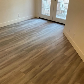 Fire Restoration - Laguna De Sol Photo