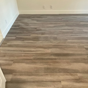 Fire Restoration - Laguna De Sol Photo