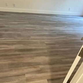 Fire Restoration - Laguna De Sol Photo