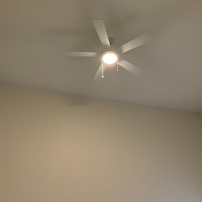 Fire Restoration - Laguna De Sol Photo