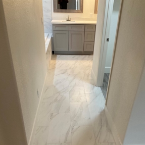 Fire Restoration - Laguna De Sol Photo