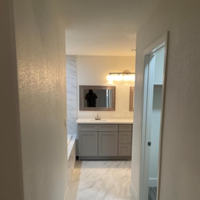 Fire Restoration - Laguna De Sol Photo