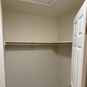 Fire Restoration - Laguna De Sol Photo