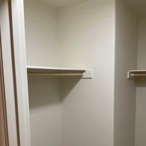 Fire Restoration - Laguna De Sol Photo