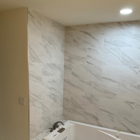 Fire Restoration - Laguna De Sol Photo