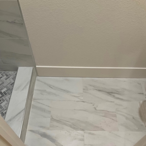 Fire Restoration - Laguna De Sol Photo