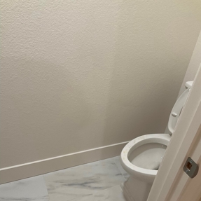 Fire Restoration - Laguna De Sol Photo