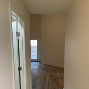 Fire Restoration - Laguna De Sol Photo