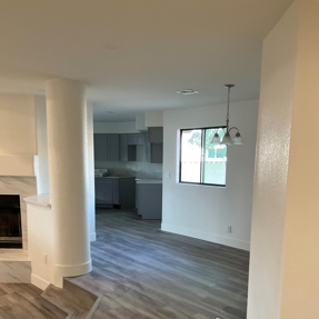 Fire Restoration - Laguna De Sol Photo