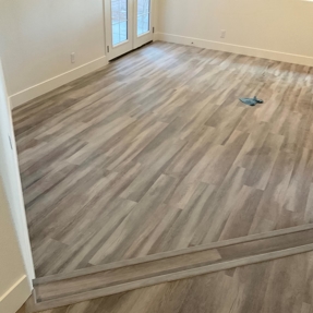 Fire Restoration - Laguna De Sol Photo