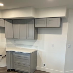 Fire Restoration - Laguna De Sol Photo