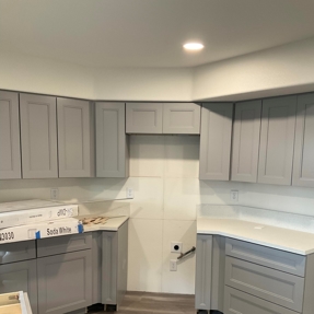 Fire Restoration - Laguna De Sol Photo