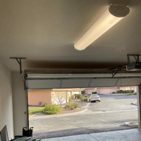 Fire Restoration - Laguna De Sol Photo