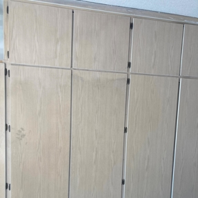 Fire Restoration - Laguna De Sol Photo