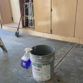 Fire Restoration - Laguna De Sol Photo