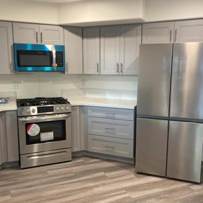 Fire Restoration - Laguna De Sol Photo