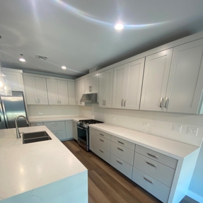 Panorama Tower Remodels - Unit 1109 Photo