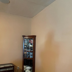 Water Restoration - Tundra Swan Photo