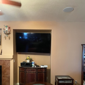 Water Restoration - Tundra Swan Photo