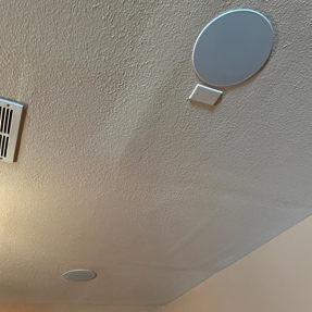 Water Restoration - Tundra Swan Photo