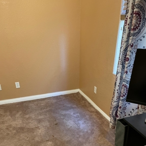 Water Restoration - Tundra Swan Photo