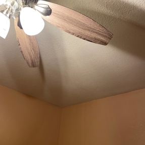 Water Restoration - Tundra Swan Photo