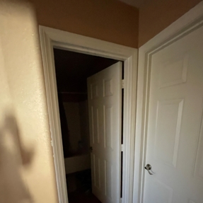 Water Restoration - Tundra Swan Photo