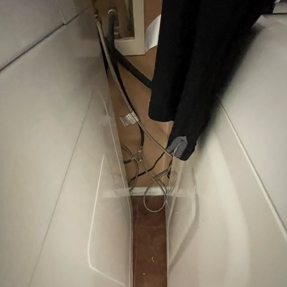 Water Restoration - Tundra Swan Photo