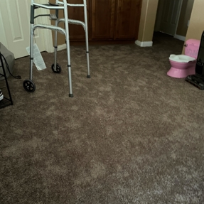 Water Restoration - Tundra Swan Photo