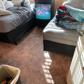 Water Restoration - Tundra Swan Photo