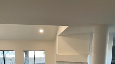 Fire Restoration - Laguna De Sol