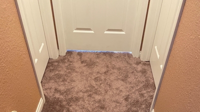 Water Restoration - Tundra Swan