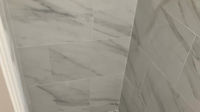 Fire Restoration - Laguna De Sol Photo