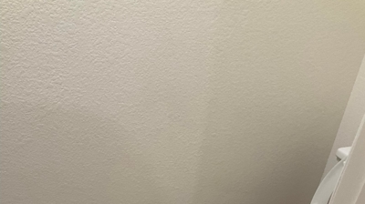 Fire Restoration - Laguna De Sol Photo