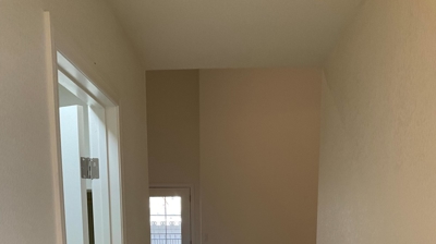 Fire Restoration - Laguna De Sol Photo