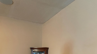 Water Restoration - Tundra Swan Photo