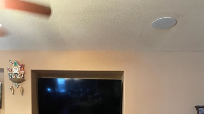 Water Restoration - Tundra Swan Photo