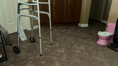 Water Restoration - Tundra Swan Photo