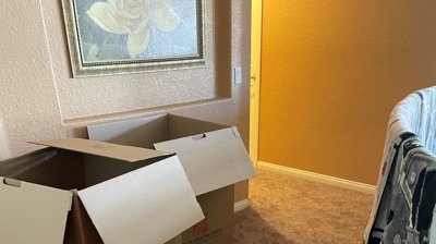 Water Restoration - Tundra Swan Photo