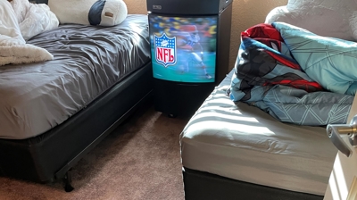 Water Restoration - Tundra Swan Photo